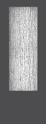 myb_22x64_36x96 myb_22x64_36x96