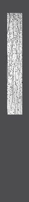 myb_8x48_14x96 myb_8x48_14x96