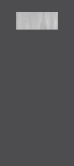 spotcha_1h-22x10_1