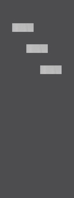 spotcha_3hd-11x5_l_36x96