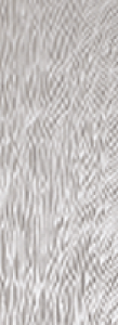 chinchilla-glass