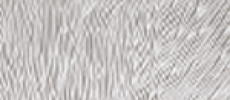 chinchilla-glass