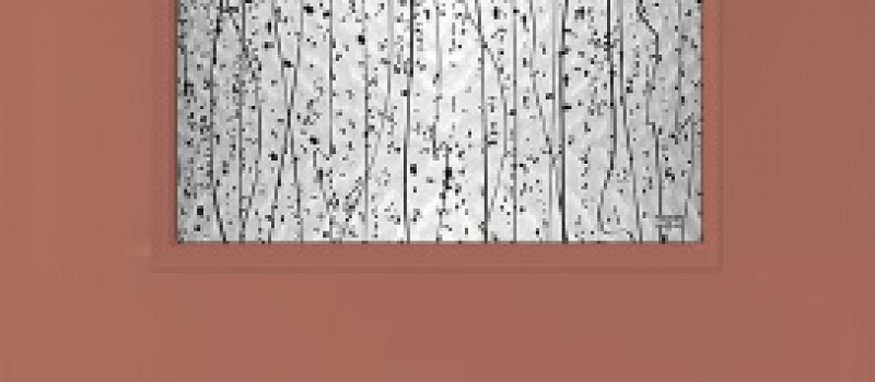 Rojo Dust SW 9006
